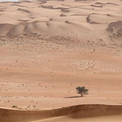 Nouvel album : Oman