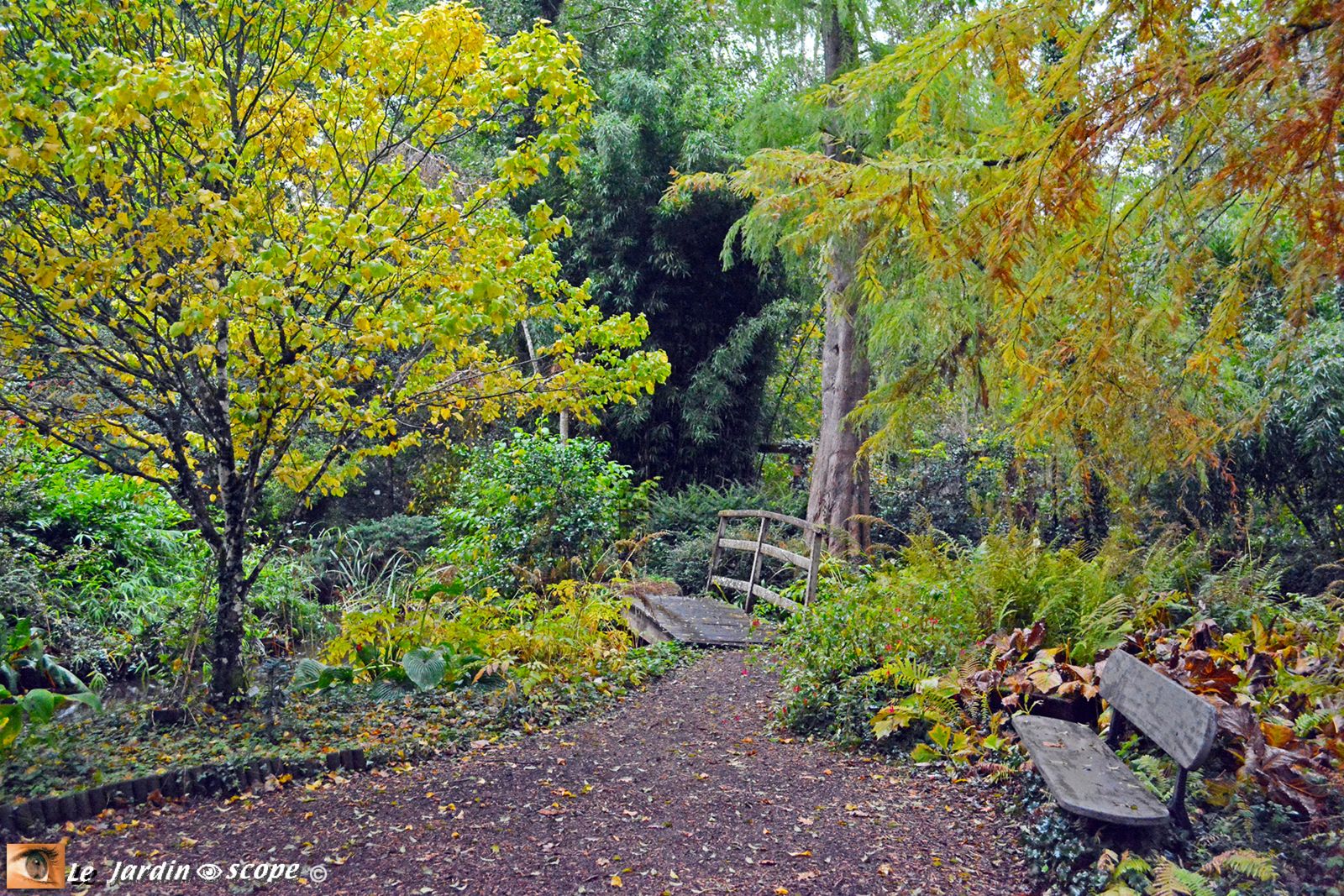 Arboretum des Prés des Culands - conservatoire des Ilex