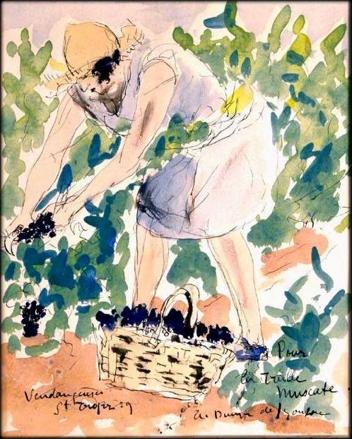 COLETTE, LA TREILLE MUSCATE, MAISON, SUD, NATURE, PARFUM, BEAUTE