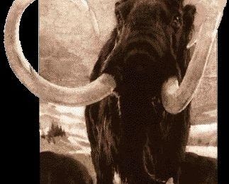 Les profondeurs de la mer du Nord, sont un vaste cimetière de Mammouth 