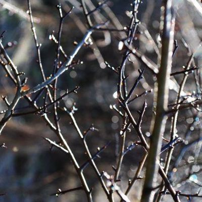 Une page se tourne...