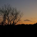 Day Nine : Crépuscule en Dordogne