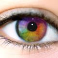 Oeil multicolore