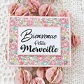 Une Guirlande pour Une Naissance...