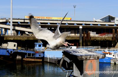 carte postale de boulogne sur mer juillet 2012