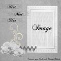 Une carte Shabby pour Cards and Stamps Addicts