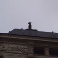 Le Chien sur le toit