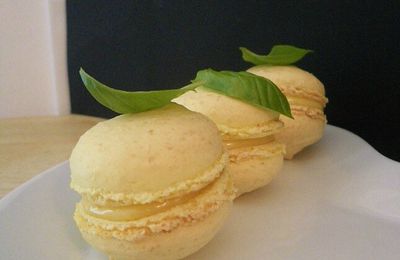 Macarons Citron-Basilic