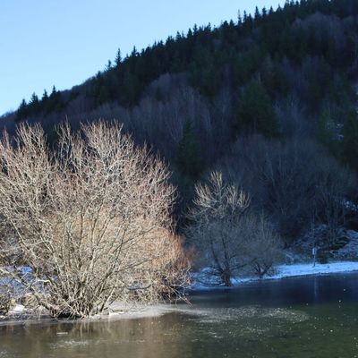 Massif du Puy de Sancy, 1