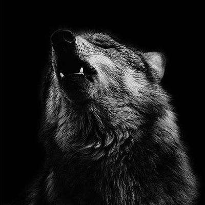 Je suis TRISTE, en colère... Tant de haine et de