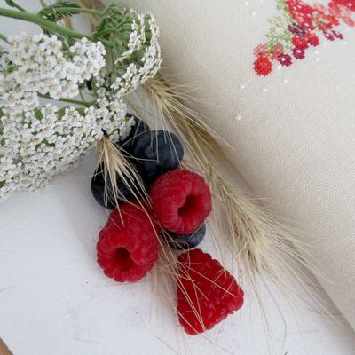 . o0o . Fruits rouges 