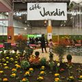 LE JARDIN S'EXPOSE A CHANOT