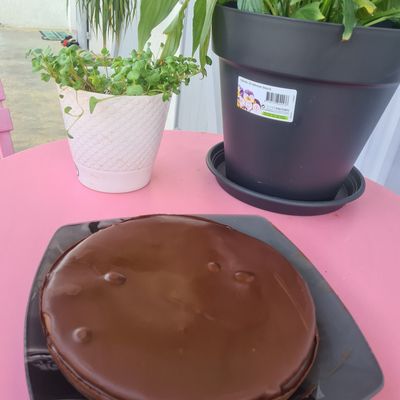 GATEAU CHOCOLAT ET MASCARPONE