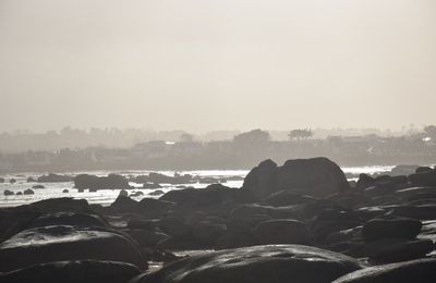 A la presqu'île Renote de Trégastel (Côtes d'Armor) le 31 décembre 2023 (2)