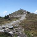 Sur les hauteurs du Mont mézenc le 12 août 2009