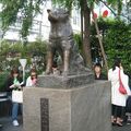 Japon : l'histoire d'Hatchiko