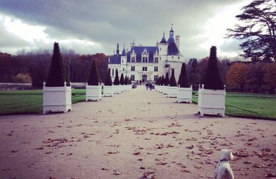 Dog-friendly Place : château de Chenonceau 