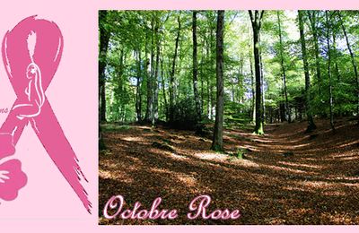 Octobre Rose...