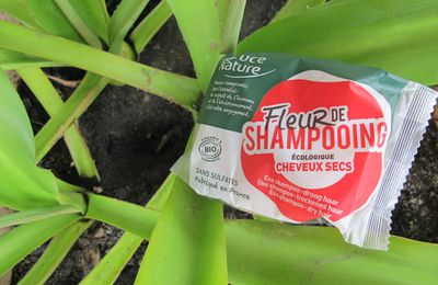 Le shampooing solide : J'ai testé !