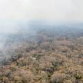 Incendies en Amazonie