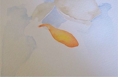 étapes d'une aquarelle