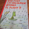 Que font les animaux quand il pleut ? de Soledad Bravi