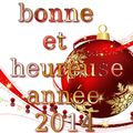 bonne année 2014