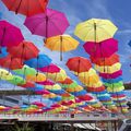 Une pluie de parapluies 