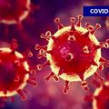 COVID : MOINS DE LITS D’HÔPITAL OCCUPÉS.