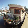 ...  avec des fleurs et une barque bleue