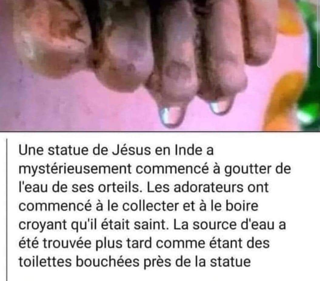 Miracle des toilettes