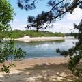 Le tour du Lac de VIEUX BOUCAU (40), le 1er juin (suite)....
