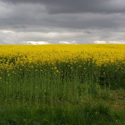 She said she tended to think of the world as something that had killed her husband and the farm as their beloved and safe place