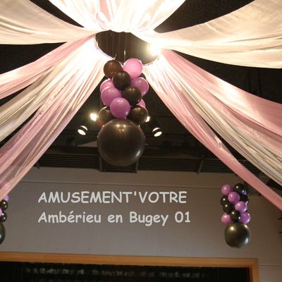 SALLE INNOVANCE VILLIEU 01