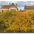 Automne tardif