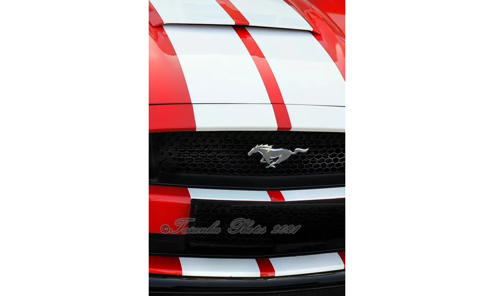 Ford MUSTANG V8 - GT - 5.0L - 421 HP - Fastback (2015)
