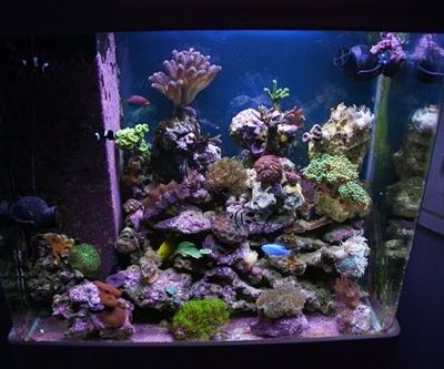 1 an d&eacute;j&agrave;