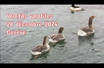 Les mois d’hiver - Babillage 