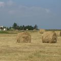 Quelques images de Vendée...