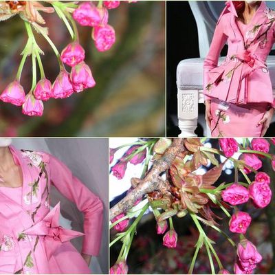 LES ARBRES EN FLEURS...