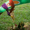 Un jour, une photo - Siem Reap, la fête des eaux 2008 - bateau