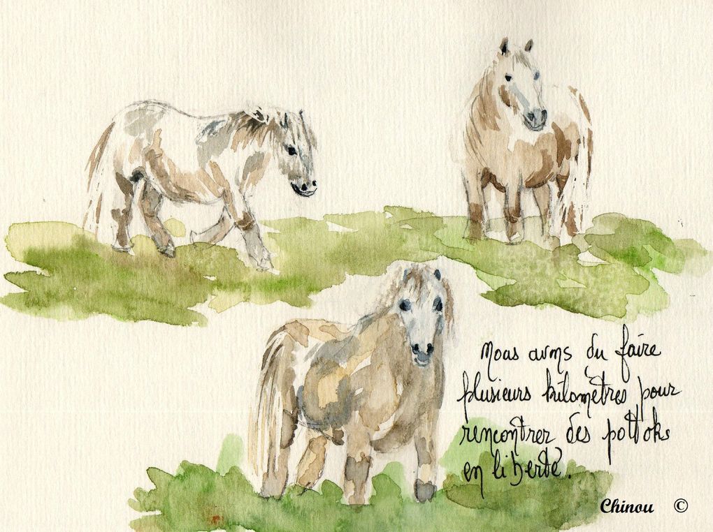 Rencontres au cours de mes randonnées