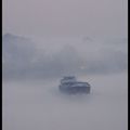 Calimero dans le brouillard 
