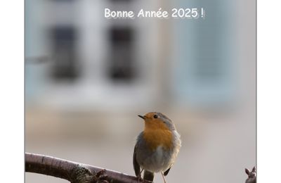 Avenir  ...?