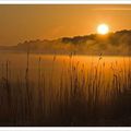 Soleil levant et brume