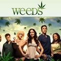 Weeds