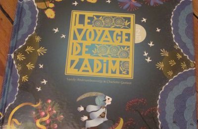 Le Voyage de Zadim, de Landy Andriamboavonjy & Charlotte Gastaut
