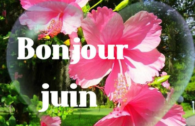 Randonnée juin
