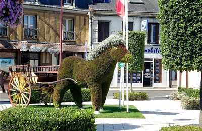 Un superbe cheval en mosaïculture.