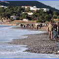 Le long de la plage